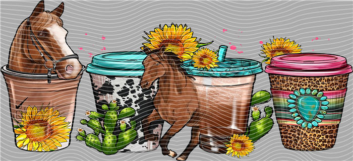 16oz Latest Bestseller-C 2537